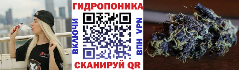 Сколько стоит Балашиха Кокаин  Конопля  Вейп ТГК  ГАШ  Мефедрон 