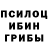 Псилоцибиновые грибы GOLDEN TEACHER Hoffer
