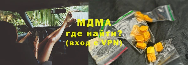 индика Новозыбков