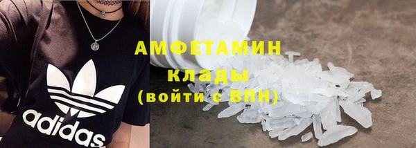 индика Новозыбков