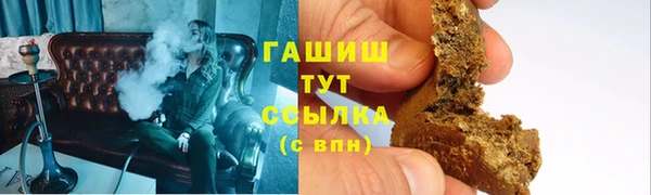 индика Новозыбков