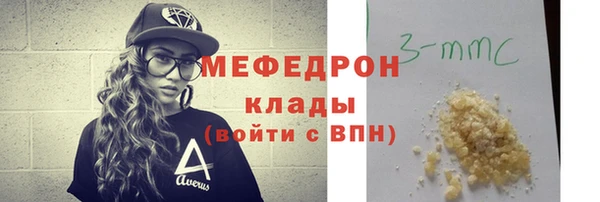 индика Новозыбков
