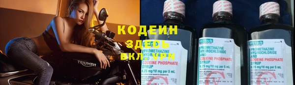 СК Новодвинск