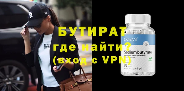 индика Новозыбков