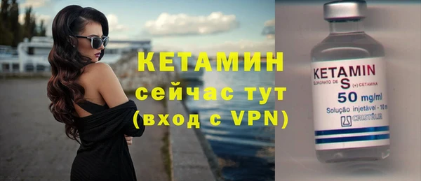 индика Новозыбков