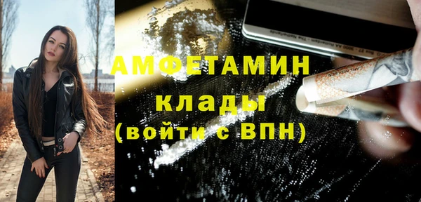 индика Новозыбков