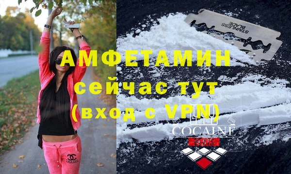 индика Новозыбков