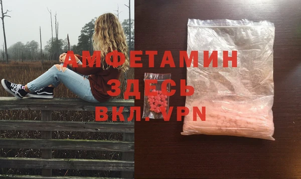 индика Новозыбков