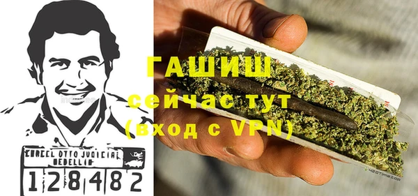 индика Новозыбков