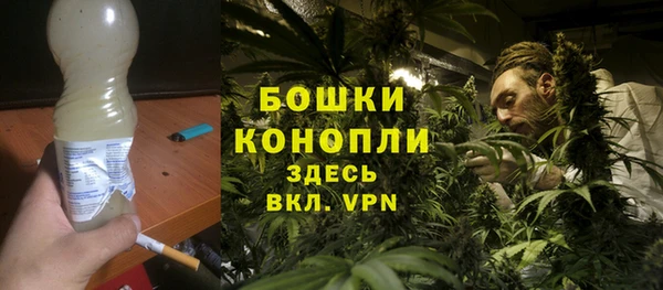 СК Новодвинск