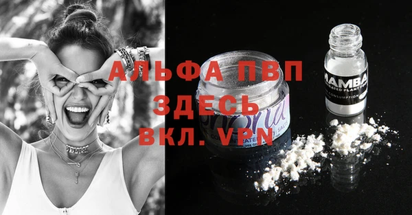 индика Новозыбков