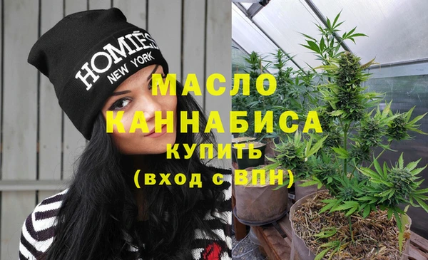 индика Новозыбков