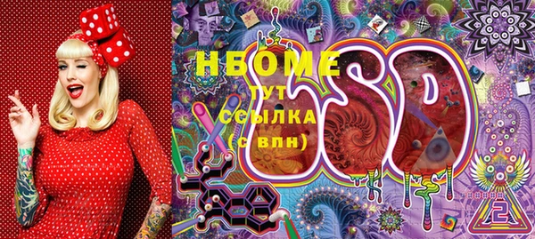 СК Новодвинск