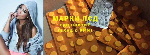 индика Новозыбков