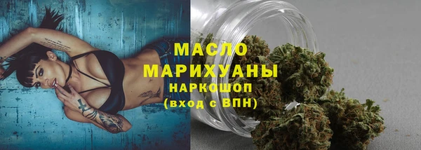 СК Новодвинск