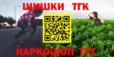 индика Аргун