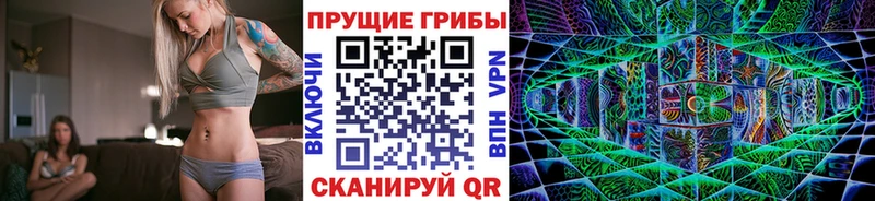 Галлюциногенные грибы Cubensis  закладка  Балашиха 