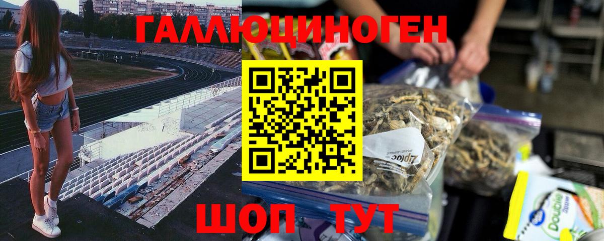 Балашиха  Псилоцибиновые грибы Psilocybe  магазин  наркотиков  Вход с VPN 